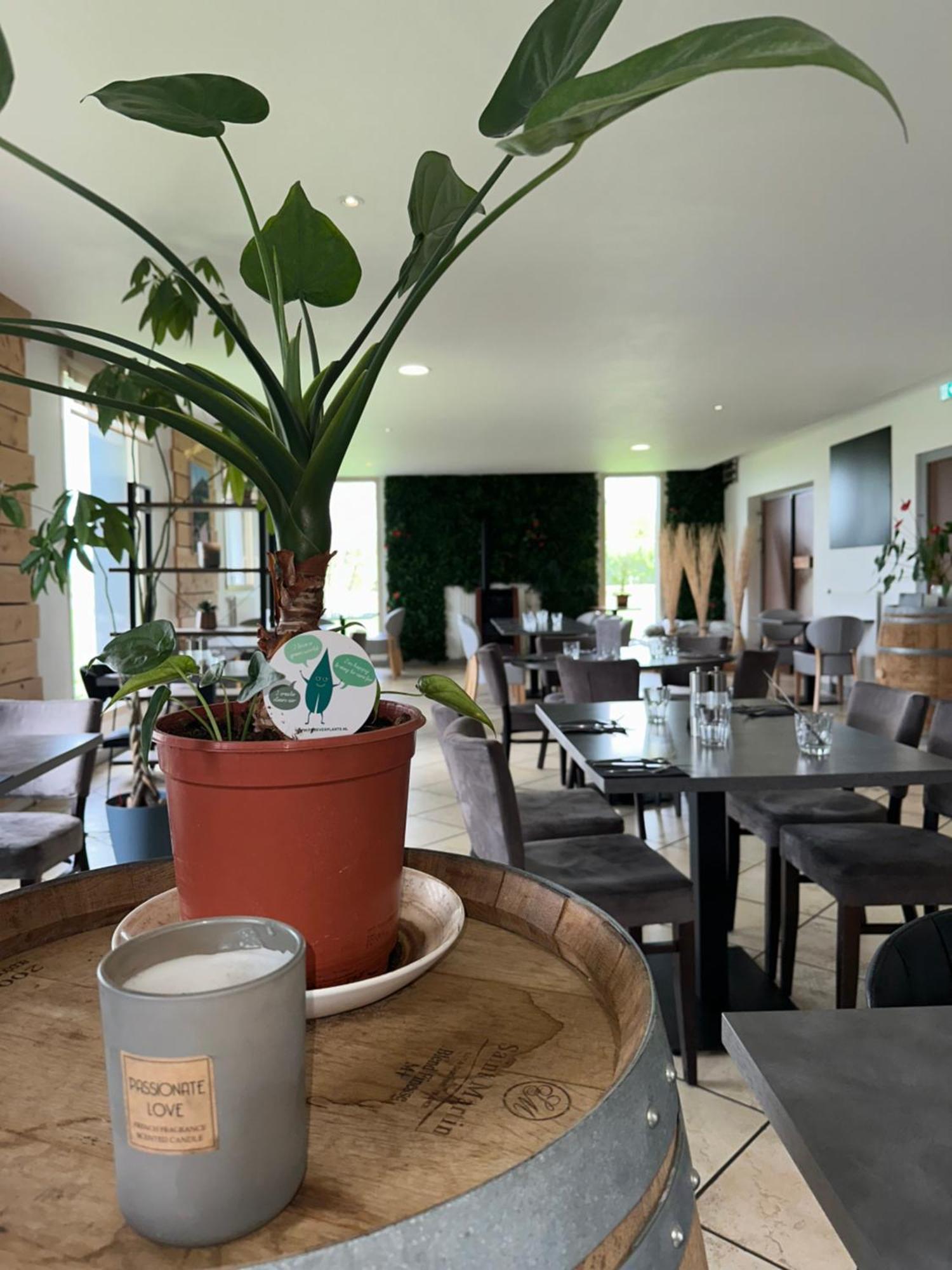 Logis Hotel Volcan Sancy Nébouzat Buitenkant foto